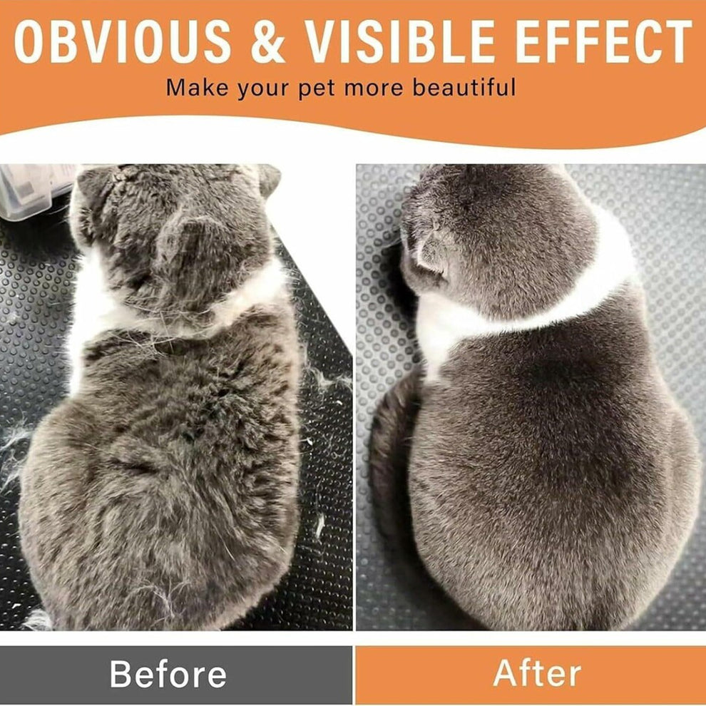 Electric Pet Steam Brush – Hair Removal & Massage